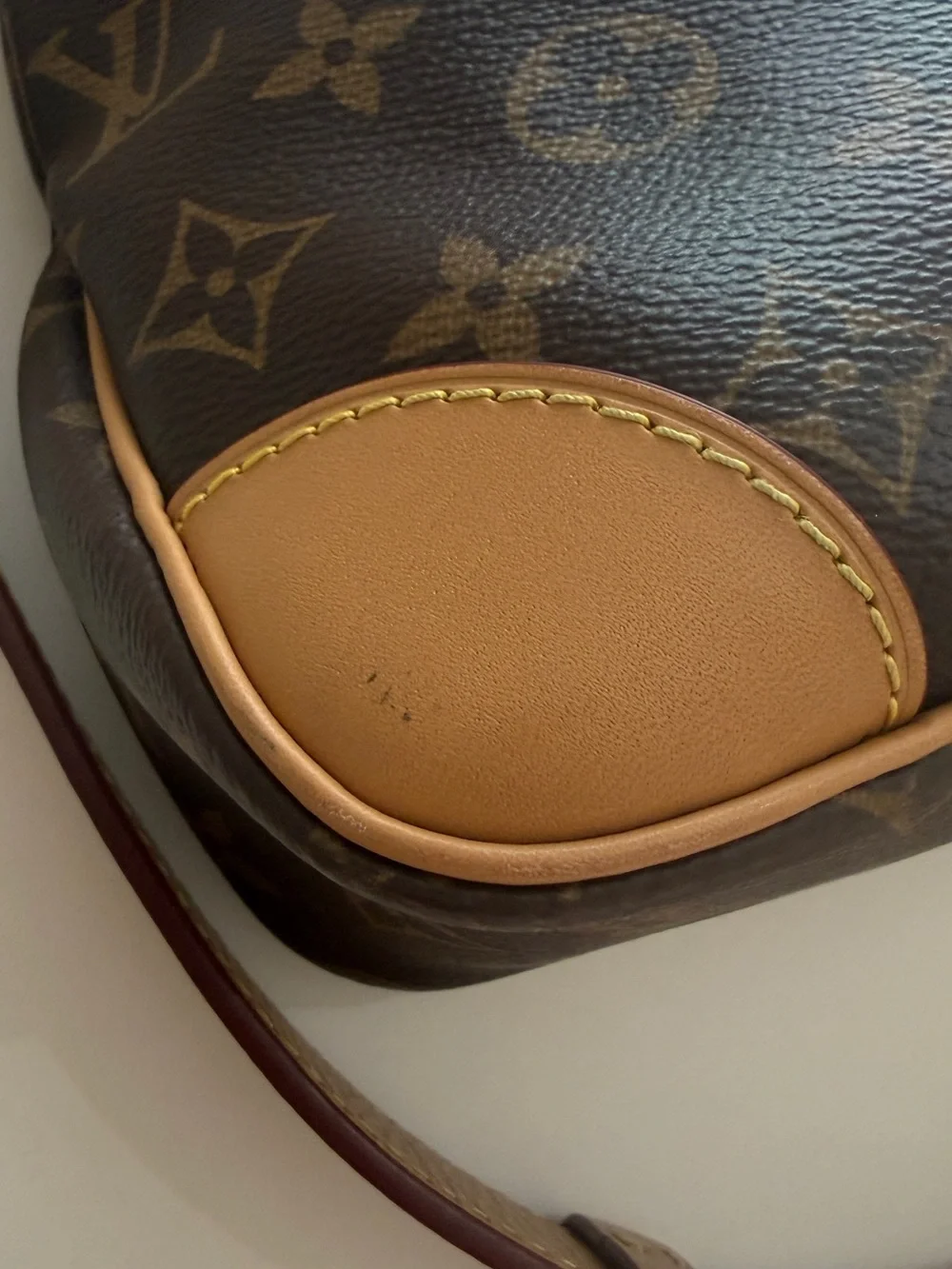 Louis Vuitton iconic lv